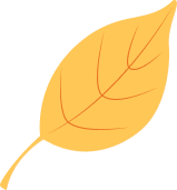 Marigold - Image 3